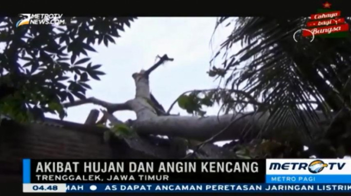 Pohon Tumbang Timpa Rumah Warga