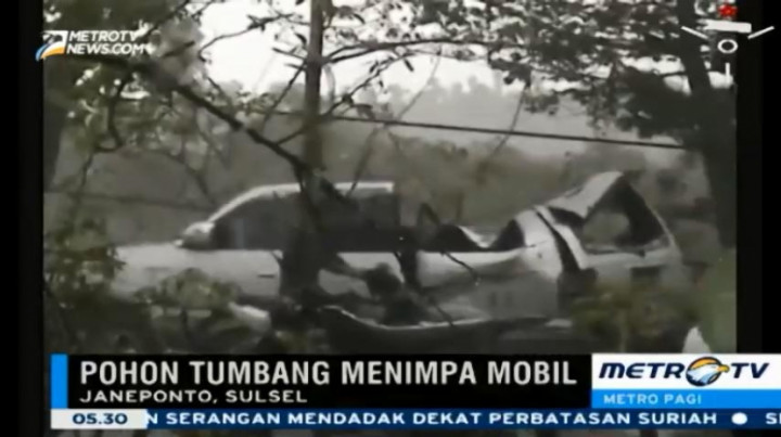 Pohon Timpa Mobil, Satu Tewas dan Lima Lainnya Terluka