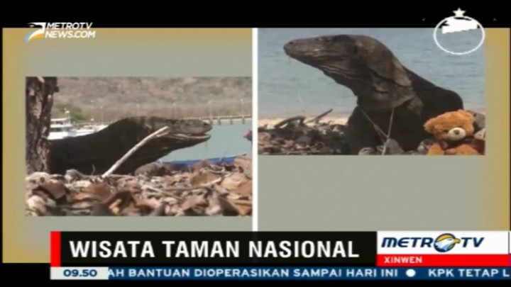 Pengunjung Taman Nasional Komodo Meningkat