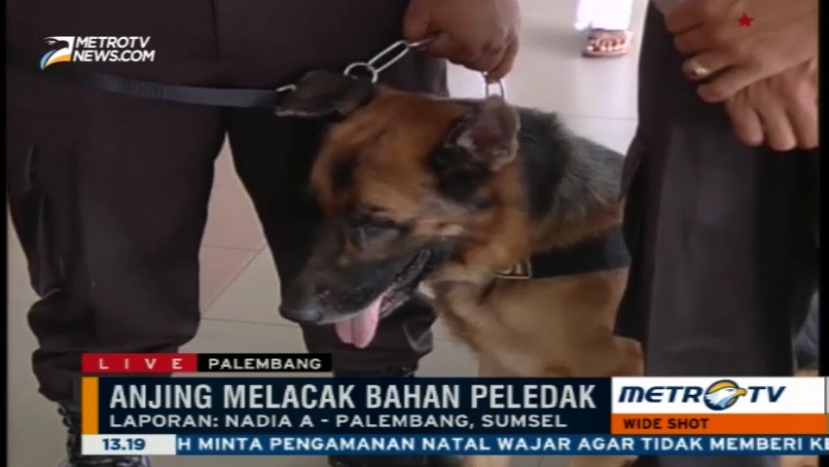 Polda Sumsel Gunakan Anjing Pelacak untuk Deteksi Bom