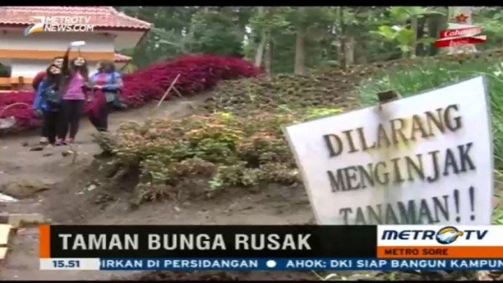 Keindahan Kebun Raya Baturraden Rusak Karena Selfie