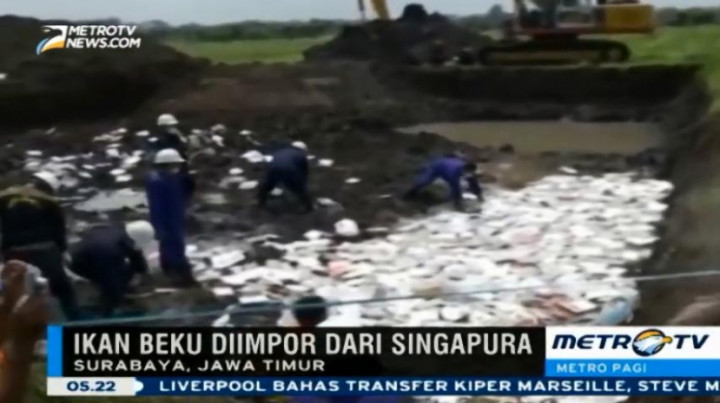 2,4 Ton Ikan Beku Impor Dimusnahkan