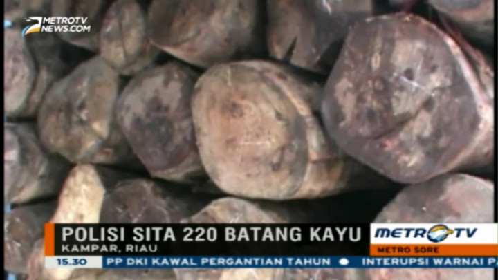 Polisi Sita 220 Batang Kayu Hasil Pembalakan Liar 