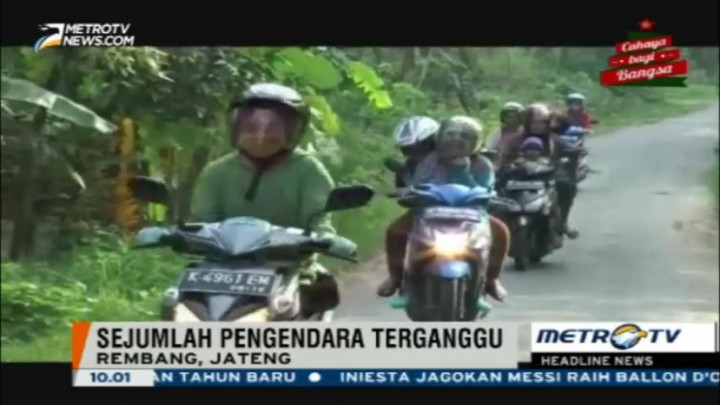 Serangan Ulat Bulu Ganggu Lalu Lintas di Rembang
