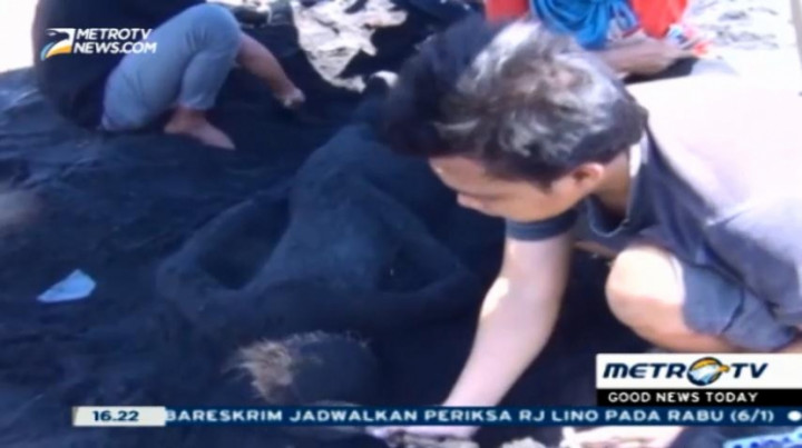 100 Hari Kematian Salim Kancil Diperingati dengan Festival Seni Pasir