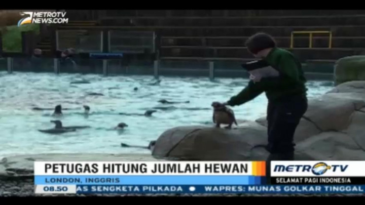  Mahasiswa Korsel Ciptakan Taksi Tanpa Sopir 