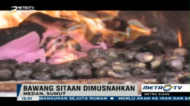  Ratusan Ton Bawang Merah Ilegal Dimusnahkan 