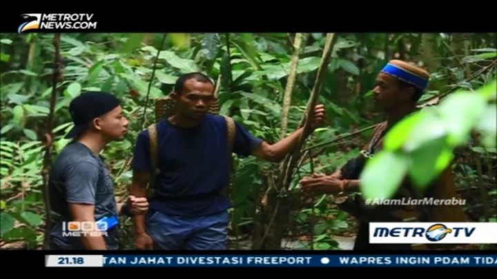 Menaklukkan Alam Liar di Merabu (2) 