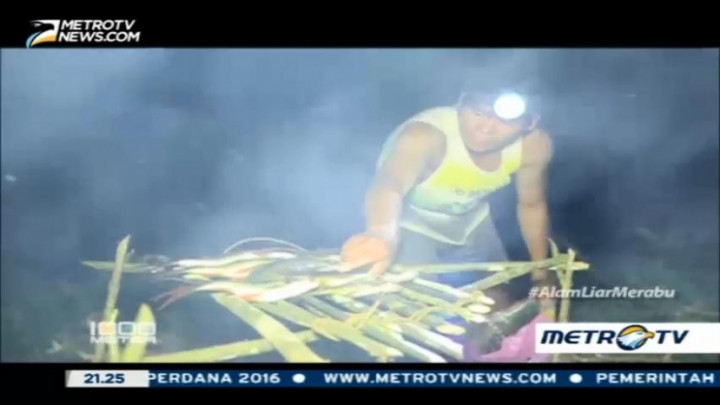 Menaklukkan Alam Liar di Merabu (3) 