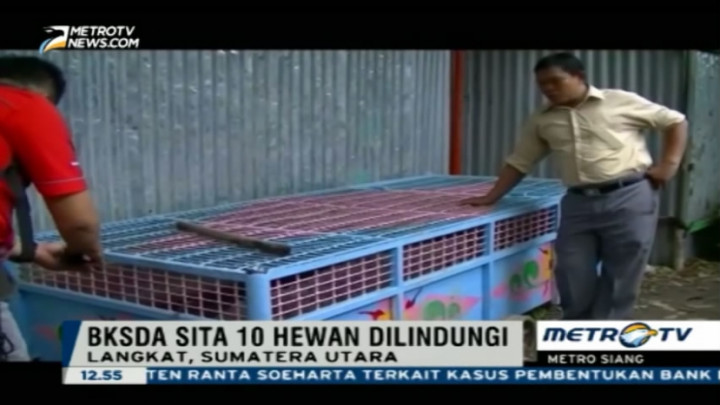  BKSDA Sumut Sita 10 Hewan Dilindungi 