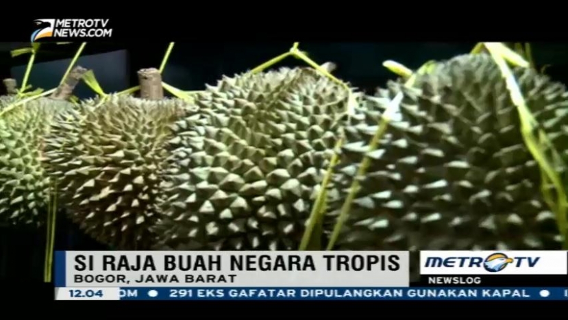 Wisata Durian
