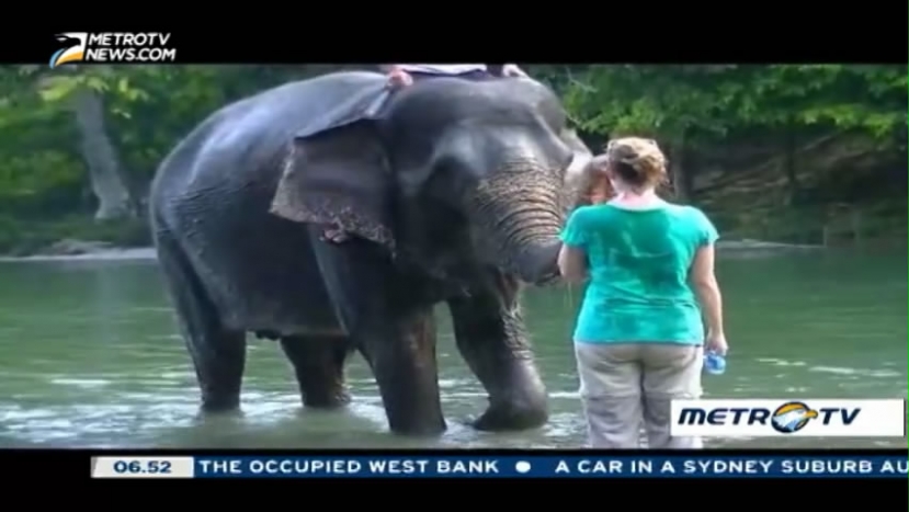 Leuser Mountain National Park in North Sumatra