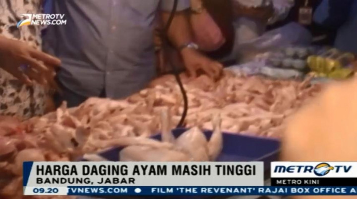 Akibat Kebijakan Stabilisasi, Harga Ayam Potong Masih Relatif Tinggi