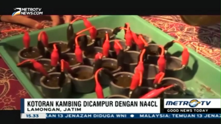 Sekelompok Siswa SMA di Semarang Ciptakan Baterai dari Kotoran Kambing