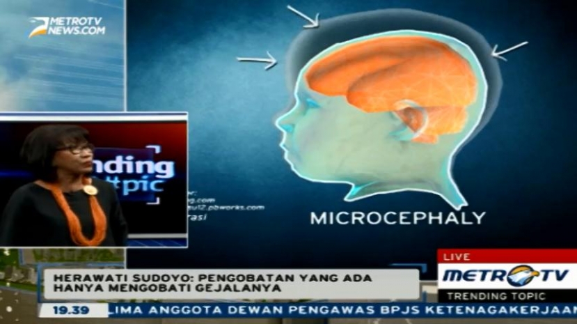 Waspadai Penyebaran Virus Zika di Indonesia