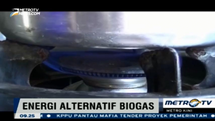 Warga Langkat Manfaatkan Kotoran Sapi Menjadi Biogas