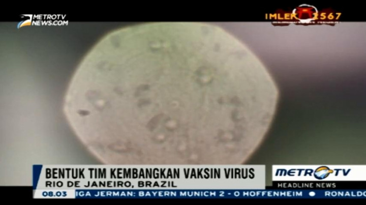 Brazil Bentuk Tim Kembangkan Vaksin Virus Zika