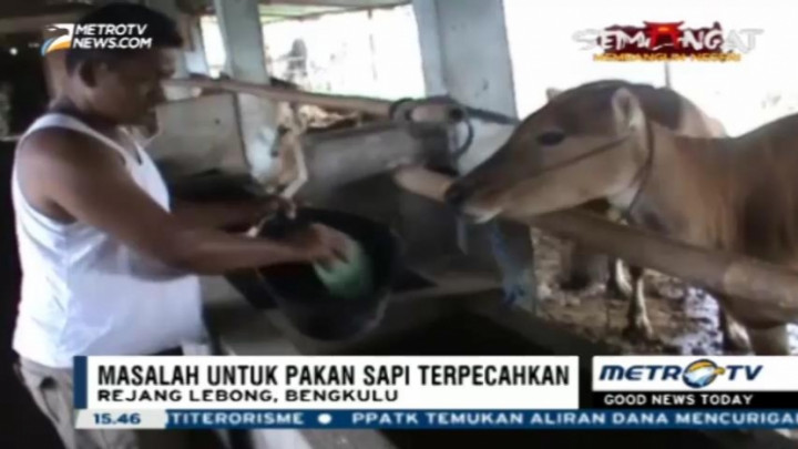 Menyulap Limbah Kopi Jadi Pakan Ternak