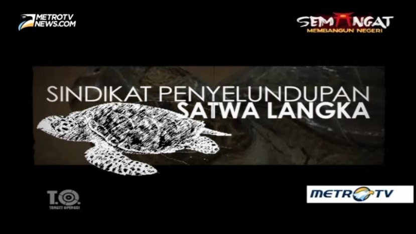 Sindikat Penyelundupan Satwa Langka (1)