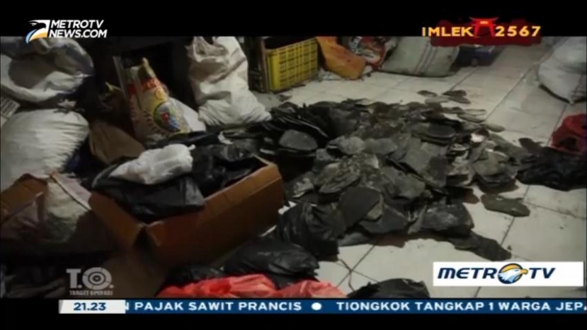 Sindikat Penyelundupan Satwa Langka (3)