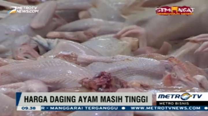 Harga Daging Ayam Masih Tinggi
