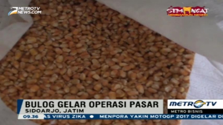 Kenaikan Harga Daging Ayam Dipicu Mahalnya Jagung