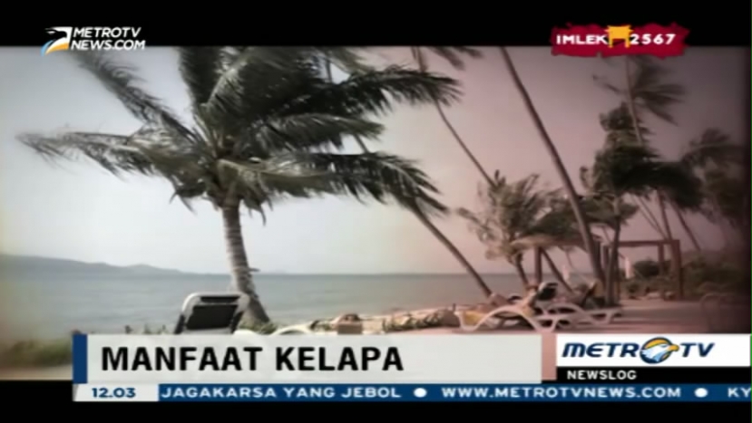 Kelapa, Si Pohon Multiguna