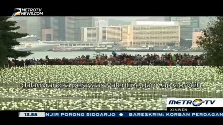 Melihat Indahnya 25.000 Bunga Mawar LED Hiasi Taman Hong Kong