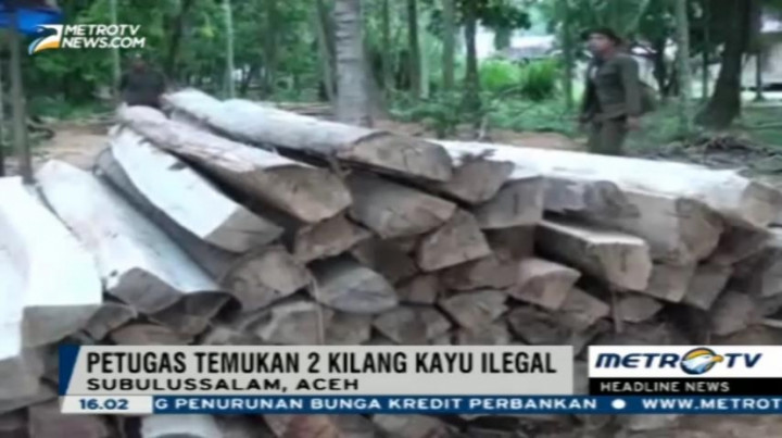 Polisi Hutan Berhasil Amankan 2 Kilang Kayu Ilegal di Aceh 
