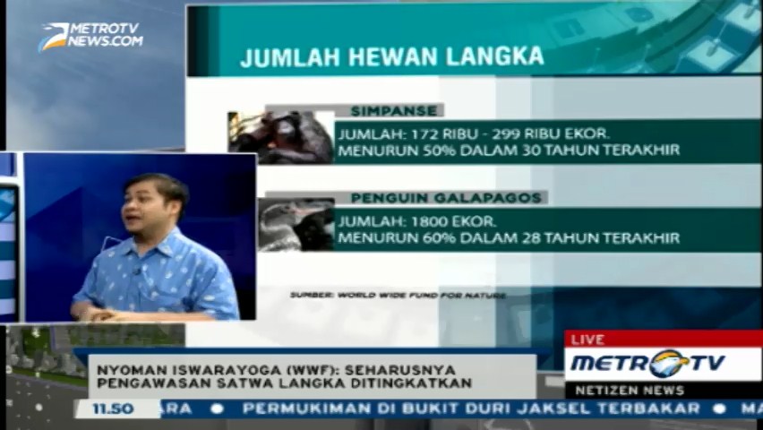 WWF: Pengawasan Satwa Langka Harus Ditingkatkan