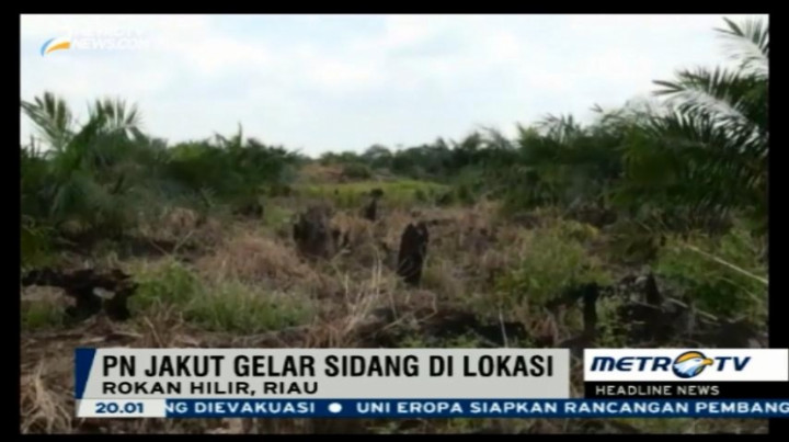 KLHK Gugat Perusahaan Pembakar Lahan Rp491 Miliar