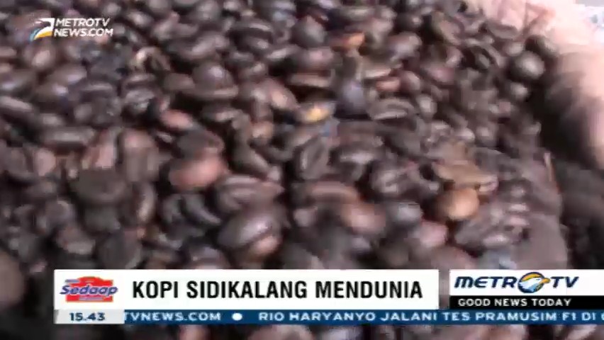 Kopi Sidikalang yang Mendunia