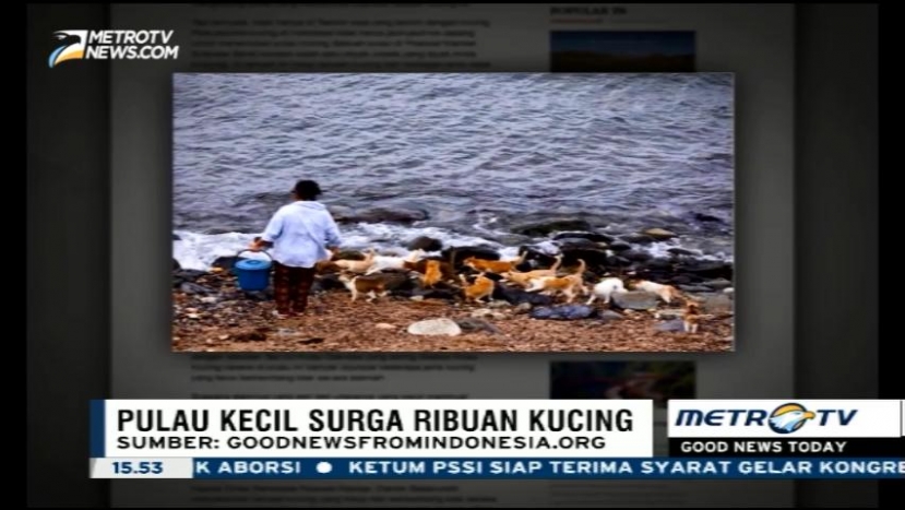 Inilah Pulau Kecil di Indonesia yang Berisi Ribuan Kucing