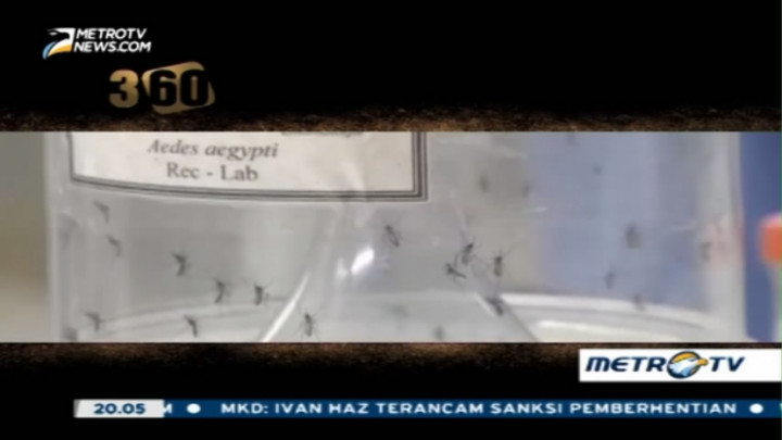 DBD Lebih Mematikan Dibanding Zika di Indonesia