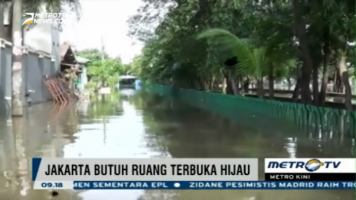 Jakarta Butuh Ruang Terbuka Hijau