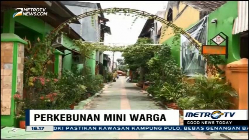 Melihat Perkebunan Mini Milik Warga Rappocini