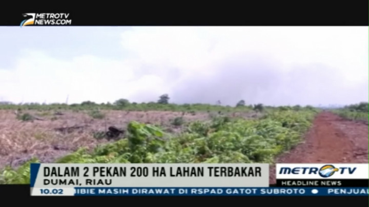 Dalam Dua Pekan, 200 Hektare Lahan di Dumai Terbakar 