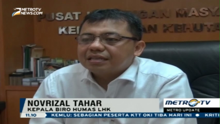 Kemen LHK Selidiki Kematian Tiga Orangutan di Kaltim 