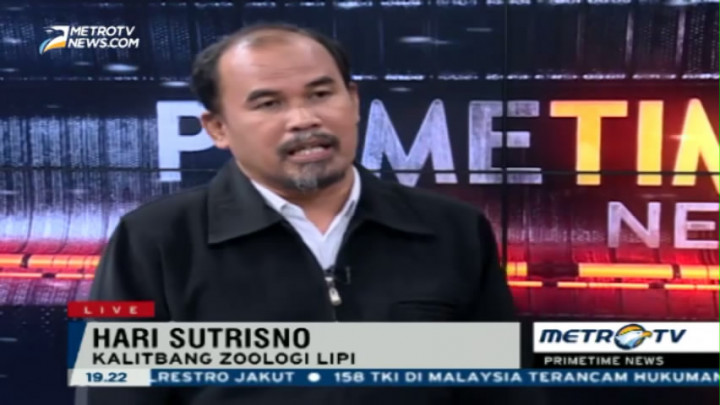 LIPI Amati Pengaruh Gerhana Matahari pada Perilaku Hewan