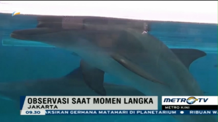 Pelajar Amati Perubahan Perilaku Hewan saat Gerhana 