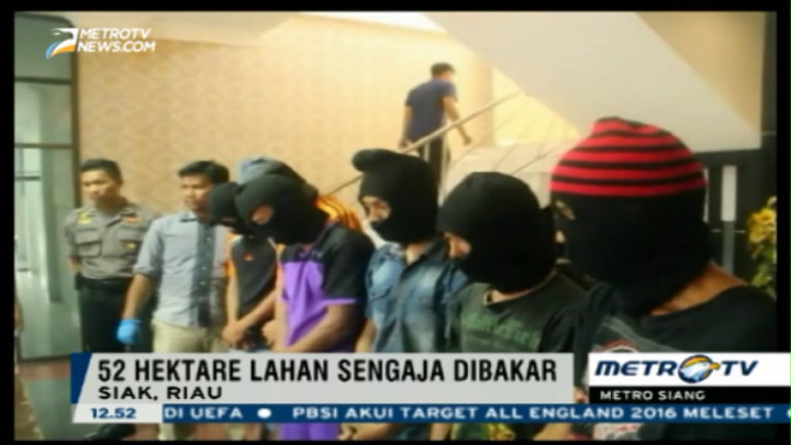 Polisi Tangkap 6 Tersangka Pembakar Lahan di Riau