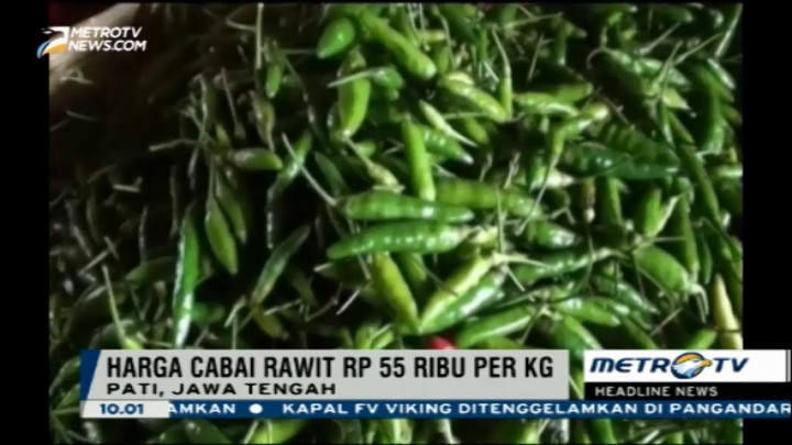 Harga Cabai di Pati Tembus Rp 80 Ribu per Kg