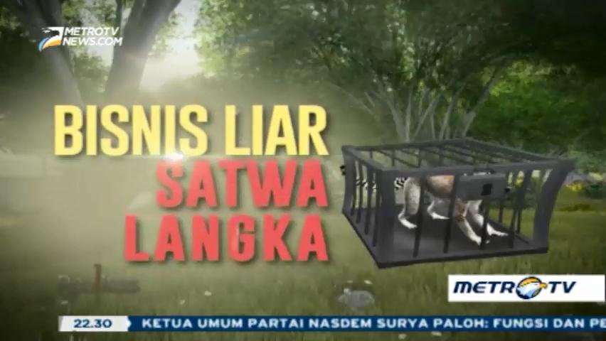 Bisnis Liar Satwa Langka (1)