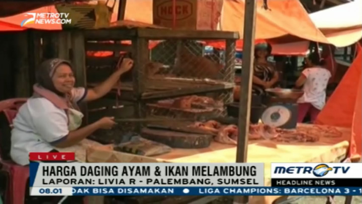 Harga Daging Ayam dan Ikan di Jambi Melambung