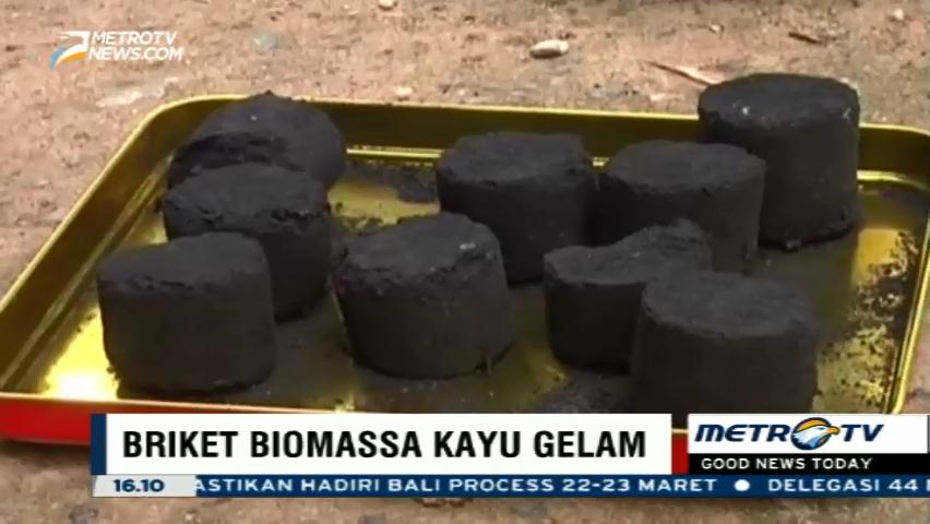 Siswa SMA Ciptakan Briket Berbahan Kayu Gelam