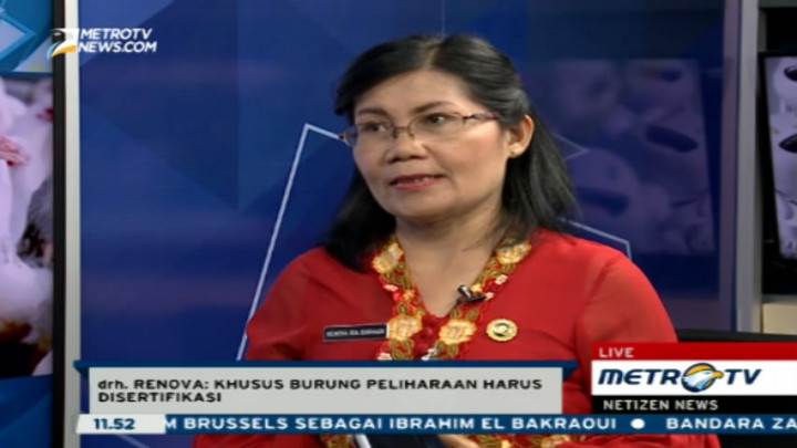 Jakarta Masih Daerah Endemis Flu Burung