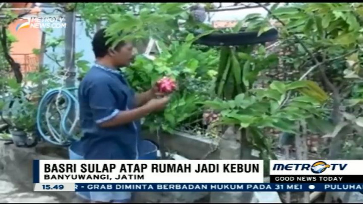 Berkebun di Atap Rumah ala Warga Banyuwangi