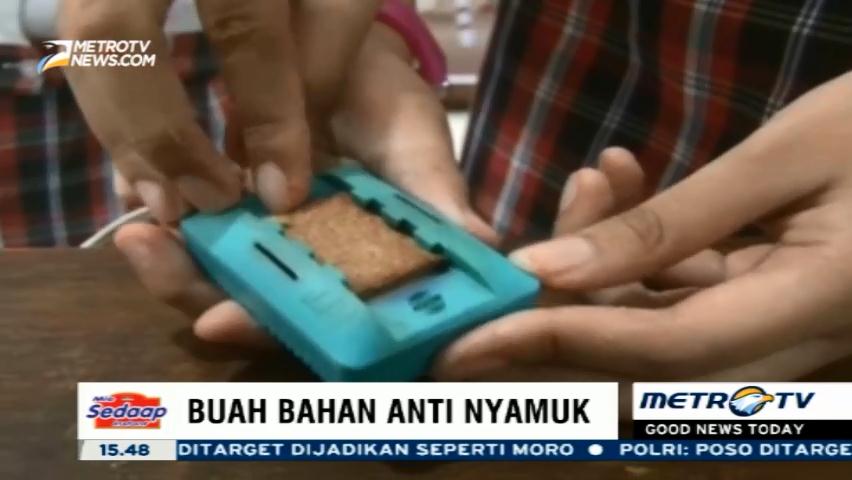 Pembasmi Nyamuk Alami dari Buah-buahan