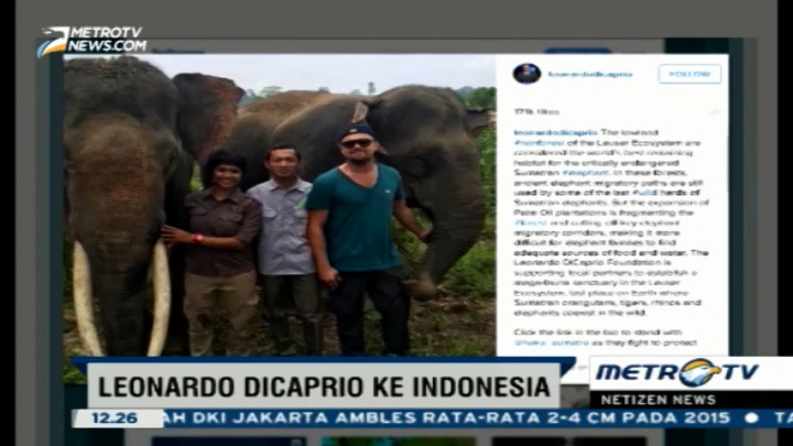 Foto-foto Leonardo DiCaprio Liburan di Aceh