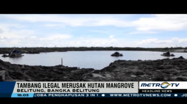 Tambang Pasir Ilegal Rusak Hutan Mangrove